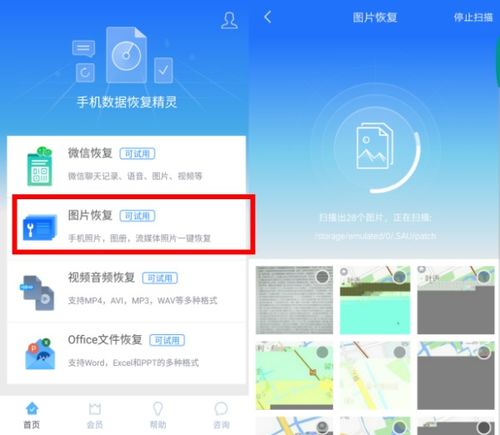 手机清理垃圾时不小心把图片删了怎么恢复 