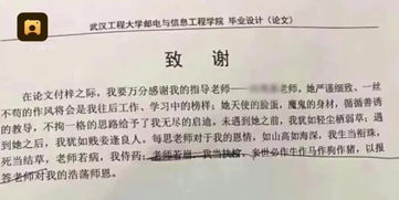 毕业论文朋友教案