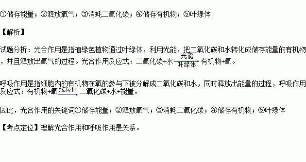 有问必答词语解释大全图片_问号的问的成语？