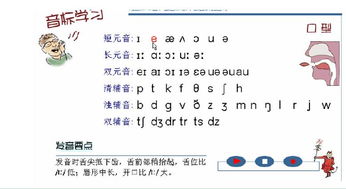 英语音标软件查找 