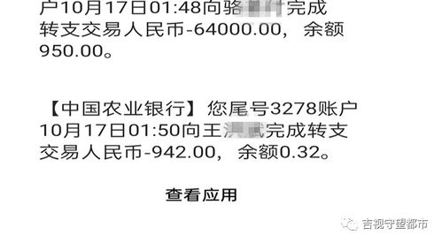 我有一笔转账未收到，银行查询说"；轧差"；是啥意思