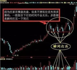 牛散刘芳持有哪些股票牛散户刘芳是否持有东宝生物股票-图1