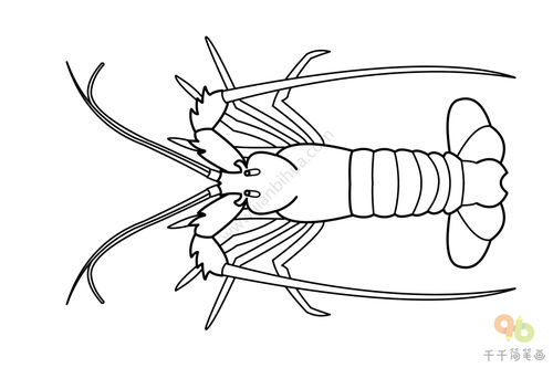 龍蝦簡筆畫 - 搜狗圖片搜索
