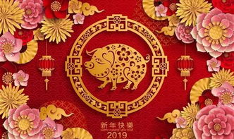 玄天仁女 2019年的生肖猪是从什么时候开始计算的