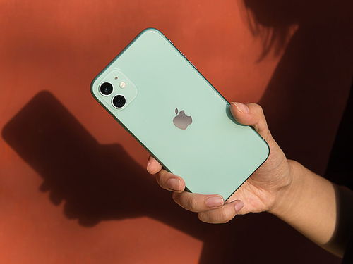 iphone11和iphonex屏幕一样大吗