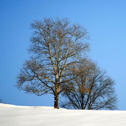 松下藏雪 文艺男生网名 QQ网名 扣扣居 