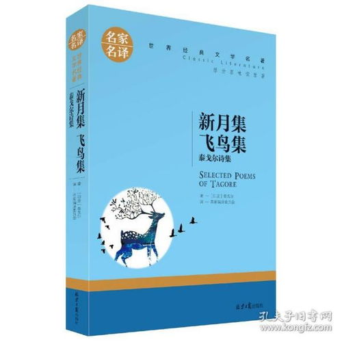 最新上架 睿辰图书专营店 孔夫子旧书网 