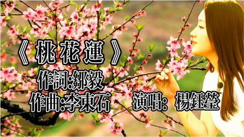 杨钰莹 桃花运 醉人醉心 好听至极 