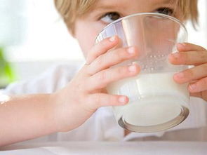 应该每天早上喝吗喝什么牛奶比较好(每天早晨喝什么牛奶较好)