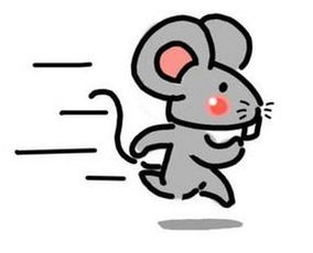 属鼠的人今年多大 属鼠的2016年有多大 属鼠命运解析 