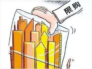 合肥限购政策是什么