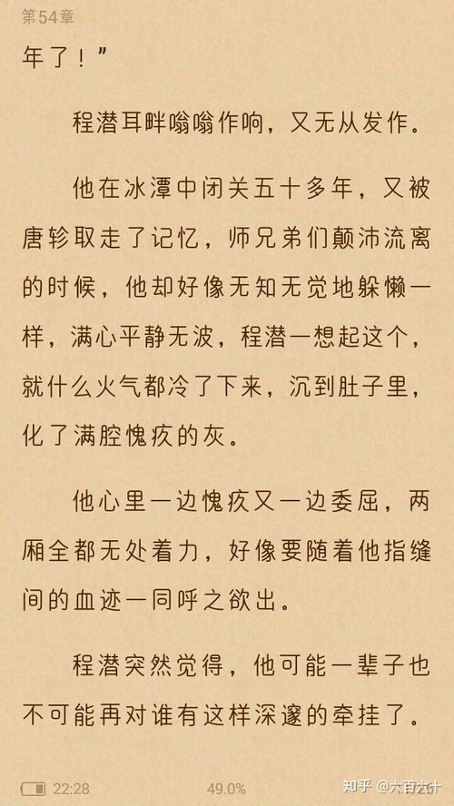 Priest的 六爻 中,如何评定程潜对严争鸣的感情 