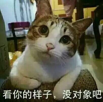 人民的猫奴高清无水印版 人民的猫奴表情包大全最新版 腾牛下载 