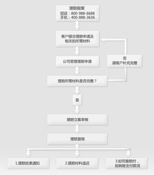 安联怎么退保(安联保险流程图)