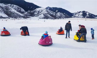 新疆南山白云国际滑雪一日品质游 深度纯玩0购物0强销 赠送旅游意外险 日场全天雪板和雪圈可互换 含景区直通车和雪票雪具 可选多个乘车地