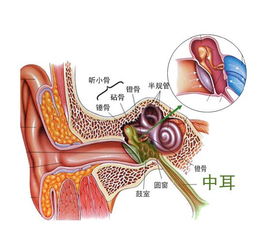 健康养生 中耳炎日常护理常识