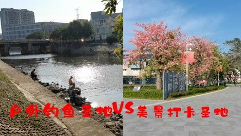 深圳免费游玩攻略,钓鱼打卡圣地VS拍照打卡圣地,你会选择哪里