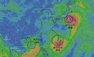 2018年14号台风蕞新情况 今年第14号台风摩羯已生成 是否影响上海 股 