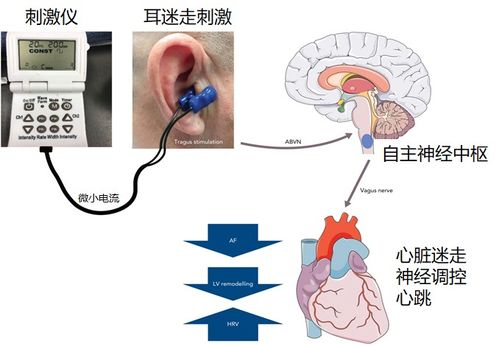 有没有不用**的治疗方法可以治疗小猫抓伤？