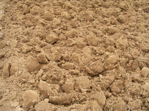 什么是沙质土 
