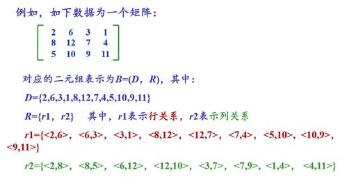 什么是9＋2结构