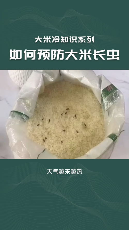 贡米冷知识(贡米是什么米怎么吃)