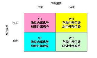 工程swot分析范文  swot分析法文字说明？