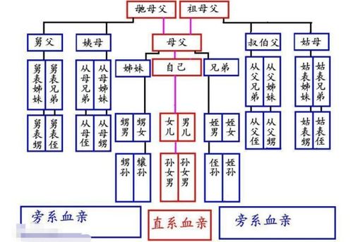 妈妈的姐妹的老公该怎么称呼 