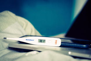 怀孕体温多少是正常 怀孕初期体温会升高吗