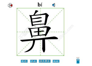 鼻字笔画flash教程模板免费下载 swf格式 编号14870400 千图网 