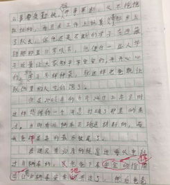 少年作文600字