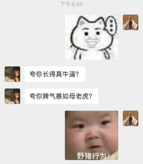 老公,我和宋总睡了 老婆辛苦了