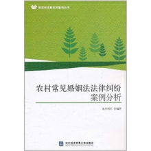 农村常见婚姻法法律纠纷案例分析 新农村法制系列案例丛书 