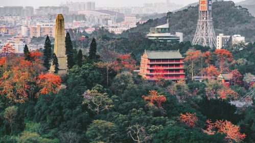 中原白云山最美秋色,身披七彩圣衣穿越时空,陪你度过这个秋天