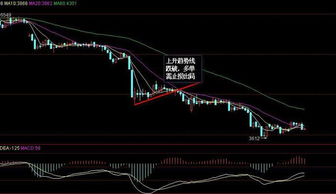 画颈线位时，这个颈线位包括上影线和下影线吗