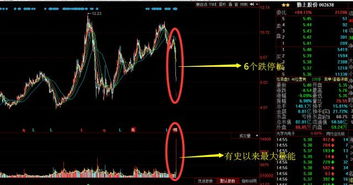 量比0.17，股价一字跌停，说明什么情况