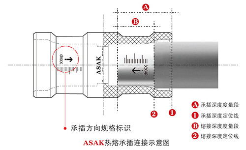 查重检测单项服务，专业精准的保障