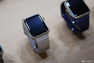 包含三个版本 Apple Watch智能手表现场实拍图 