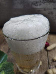百威 珠江等啤酒巨头抢滩 精酿啤酒将成为下一个行业风口