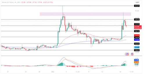 VET行情走势分析;bsv行情最新价格走势图