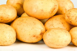 立秋能种土豆吗 九月份能种土豆吗