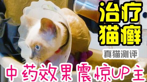 猫咪得了猫癣要把毛全部剃光吗