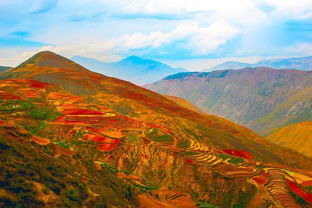全中国最有气势的红土地,奇美浓烈的色彩艳丽而斑斓,能灼痛双眼