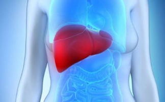 引起脂肪肝的常见原因是什么,这7种治疗方法,帮你养肝护肝