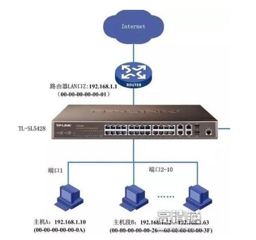 服务器ip是公网ip还是内网吗(阿里云服务器的ip是公网ip吗)