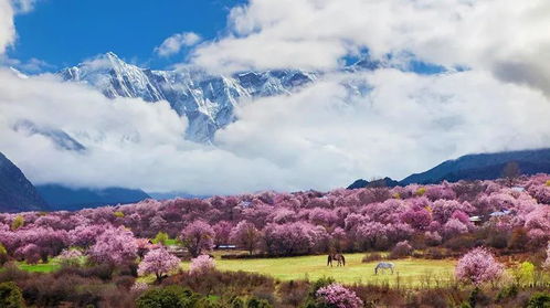 粤北秋日的桃花仙境