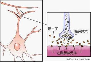 电子烟, 最好 的香烟代替品也被3.15点名,它有什么罪