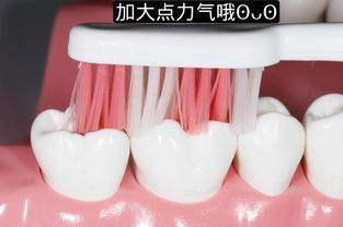 刷牙漱口用牙线 您都会了吗