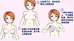 喝豆浆导致乳腺癌有没有科学依据日常生活中如何注意乳房保健