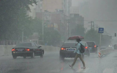 暴雨,继续 今天强降雨,明天大风天...